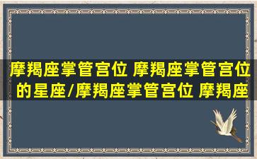 摩羯座掌管宫位 摩羯座掌管宫位的星座/摩羯座掌管宫位 摩羯座掌管宫位的星座-我的网站